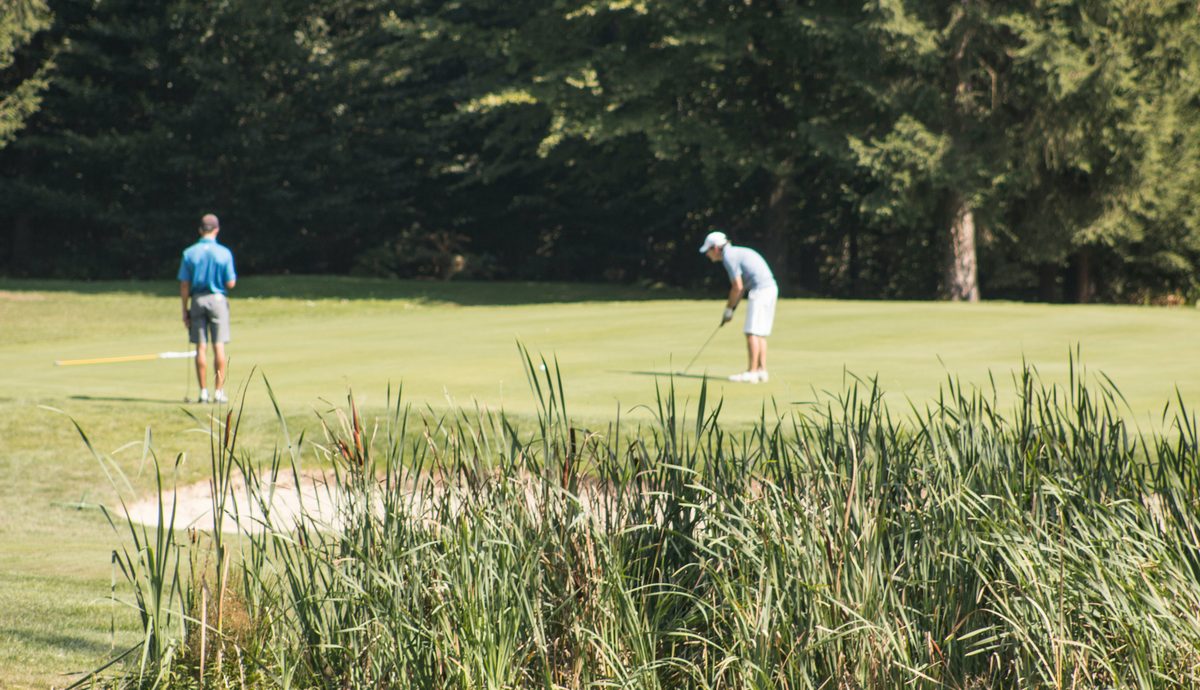 Afternoon League golfers putting on a green bordered by tall grasses at The VUE